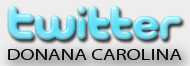 logo-twitter-donanacarolina